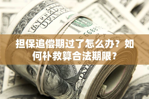 济南担保追偿期过了怎么办？如何补救算合法期限？