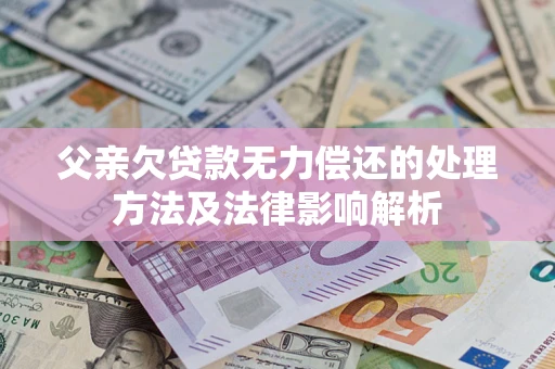 济南父亲欠贷款无力偿还的处理方法及法律影响解析